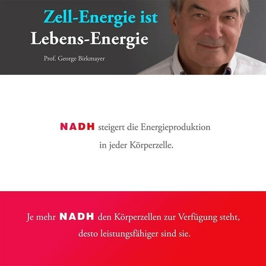 NADH Energie